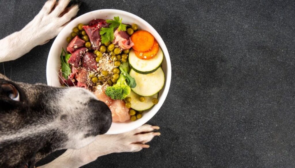 Barfen für Anfänger_ Der perfekte Futterplan für den Einstieg