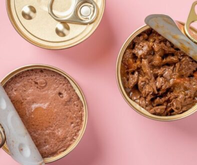 Die besten Renal-Katzenfutter im großen Vergleich