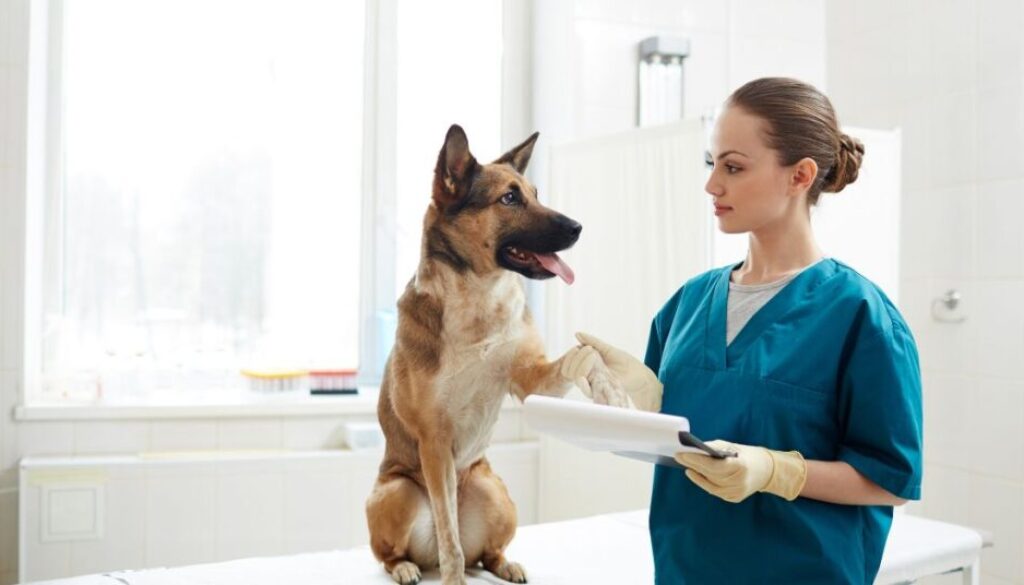 Die richtige Diät bei Struvitsteinen_ Den pH-Wert des Urins senken