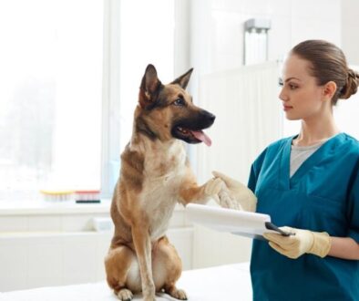 Die richtige Diät bei Struvitsteinen_ Den pH-Wert des Urins senken