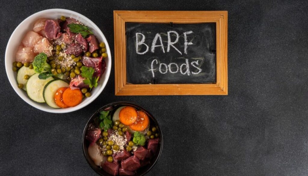 Fertigbarf vs. Selbermachen_ Was ist besser für meinen Hund