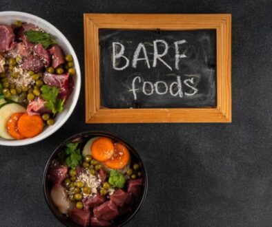 Fertigbarf vs. Selbermachen_ Was ist besser für meinen Hund