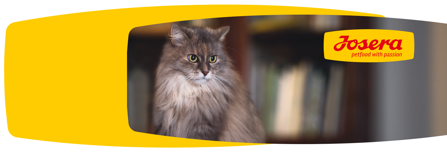 Gute Futterzusammensetzung - glückliches Haustier