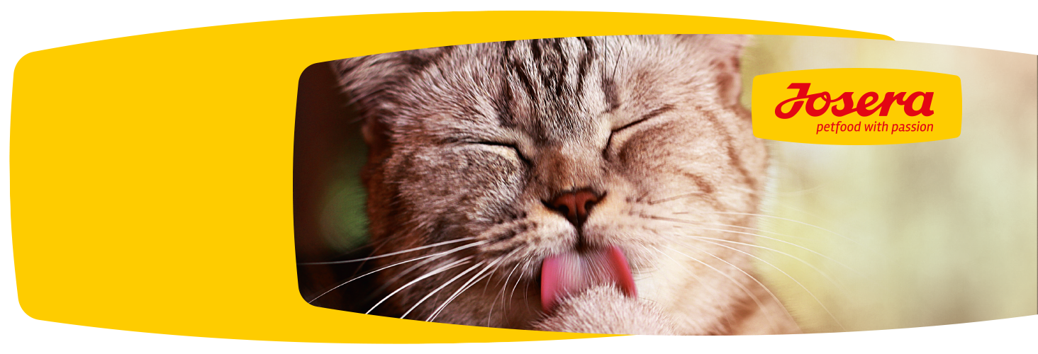 Gute Futterzusammensetzung - glückliches Haustier