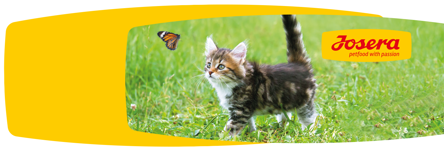 Gute Futterzusammensetzung - glückliches Tier