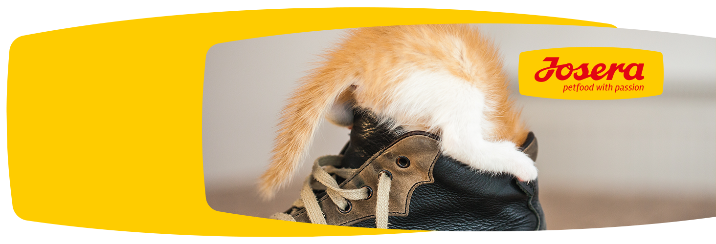 Gute Futterzusammensetzung - glückliches Haustier