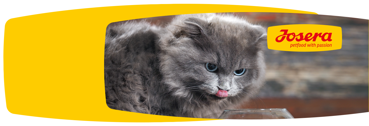 Gute Futterzusammensetzung - glückliches Haustier