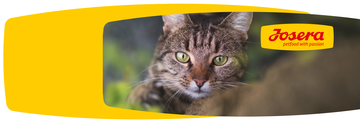 Gute Futterzusammensetzung - glückliches Haustier