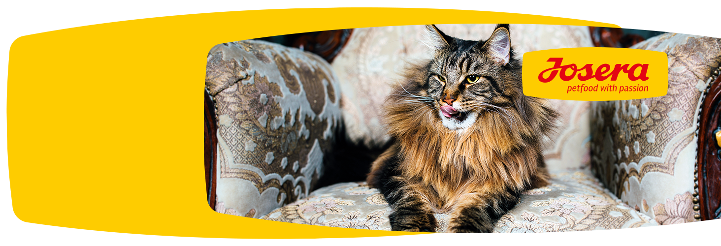 Gute Futterzusammensetzung - glückliches Haustier