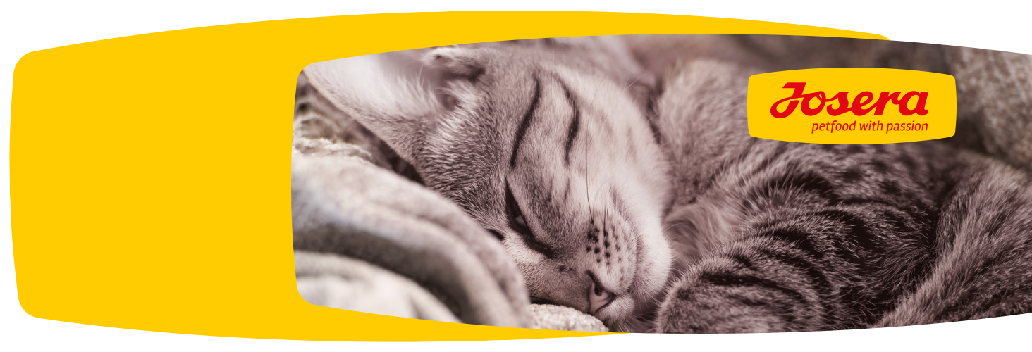 Gute Futterzusammensetzung - glückliches Haustier
