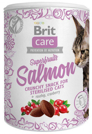 BRIT Care Superfruits Salmon - Katze behandeln - 100 g