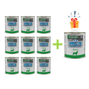 Farmina Pet Food Vet Life Renal Adult 300 g