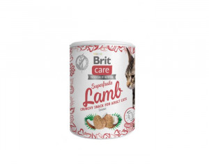 BRIT Care Cat Snack Superfruits Lamb - Katzenleckerli - 100 g