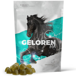 GELOREN Horse HA Joints - Vitamine für Pferde - 450g