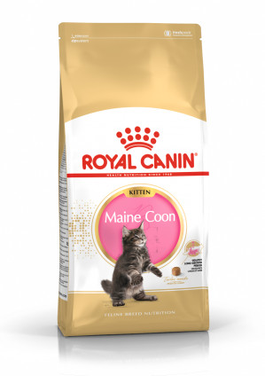 ROYAL CANIN Maine Coon Kitten - Trockenfutter für Katzen - 4 kg 