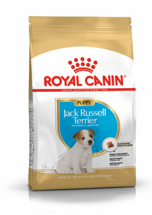 Royal Canin SHN Breed Jack Russell Junior - Trockenfutter für Hunde Geflügel, Reis - 3 kg