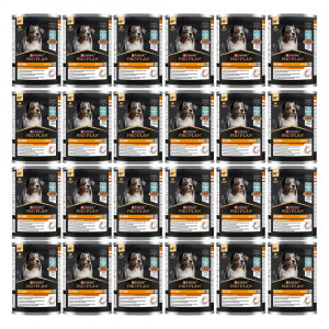 PURINA Pro Plan Everyday nutrition All size Adult Fish in jelly - Nassfutter für Hunde - 24x400g