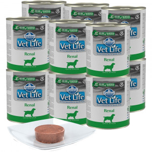 FARMINA Vet Life Canine Renal – Nassfutter für Hunde – 12x300g