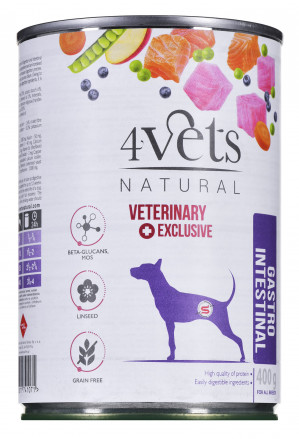 4VETS Natural Gastro Intestinal Dog - Nassfutter für Hunde - 400 g