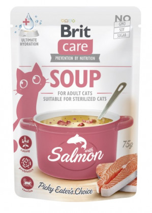 BRIT Care Soup Salmon - Suppe für Katze - 75g