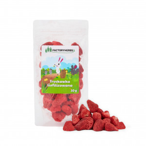 FACTORY HERBS Freeze-dried strawberries - leckerli für Nagetiere und Kaninchen - 20g