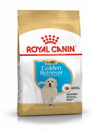 ROYAL CANIN Golden Retriever Puppy - Trockenfutter für Hunde - 12 kg
