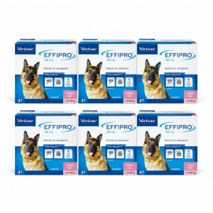 VIRBAC Effipro L (20-40 kg) - tropfen gegen flöhe und zecken für hunde – 24 stück