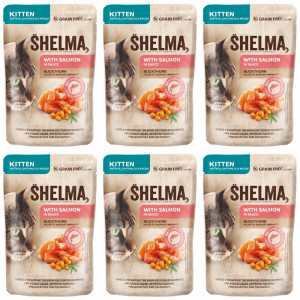 SHELMA Kitten with salmon in sauce - nassfutter für Katzen - 6x85g