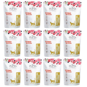 4VETS Natural Urinary Non-struvite - nassfutter für Katzen - 12x85g