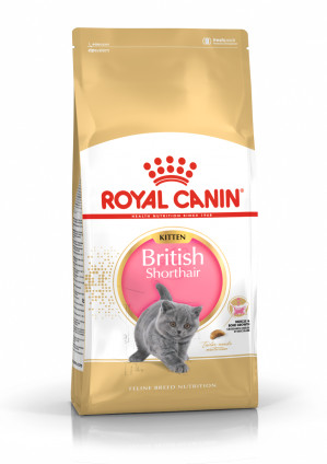Royal Canin British Shorthair Kitten Katzen-Trockenfutter 2 kg Geflügel, Reis, Gemüse