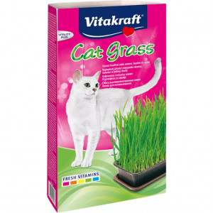 VITAKRAFT - Grassamen - Katze behandeln - 50g