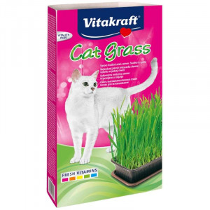 VITAKRAFT Katzengras - Kit für Katzen - 120 g