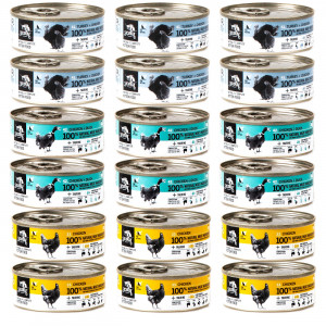 3COTY für Kätzchen MIX aus Geschmacksrichtungen – Nassfutter für Katzen – 18x80g