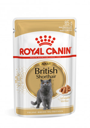 ROYAL CANIN British Shorthair Paket 12x85g 