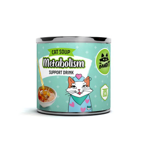 VETEXPERT Mr. Bandit Salmon Metabolism Support - funktionelles getränk für katze - 95 ml