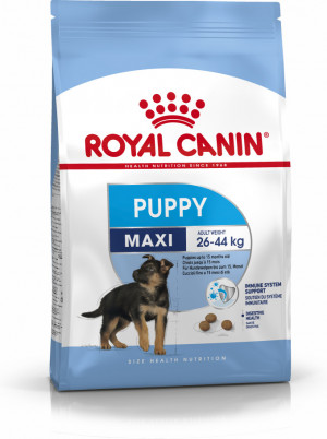 Royal Canin SHN Maxi Puppy - Trockenfutter für Welpen - 4kg 