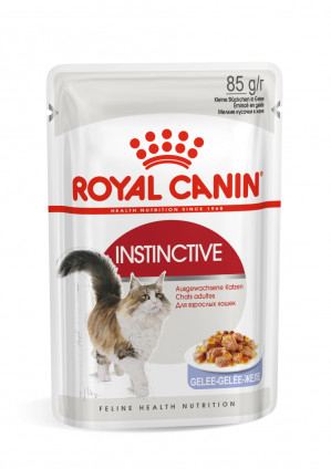 ROYAL CANIN FHN Instinctive in Jelly - Nassfutter für ausgewachsene Katzen - 12x85g 