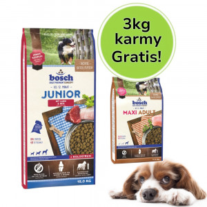 Bosch JUNIOR MIT LAMM & REIS