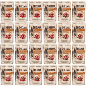 SHELMA Rich in duck in sauce - nassfutter für Katzen - 24x85g