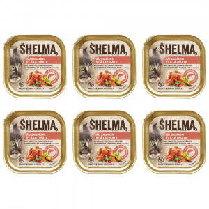 SHELMA Salmon and trout pate - nassfutter für Katzen - 6x100g