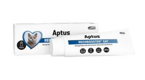 APTUS Recobooster Nutrition and appetite - ergänzungen für katzen – 60g