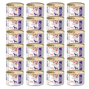 4VETS Natural Gastro Intestinal Dog - Nassfutter für Hunde - 24x185g