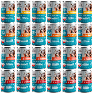 FRENDI Stückchen in feiner Soße MIX Geschmacksrichtungen - Nassfutter für Katzen - 24x400g