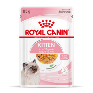 Royal Canin FHN Kitten Instinctive in Sauce - Nassfutter für Kätzchen - 12x85g 