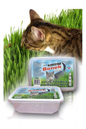 Certech 10319 Haustiergras-Samen Katze