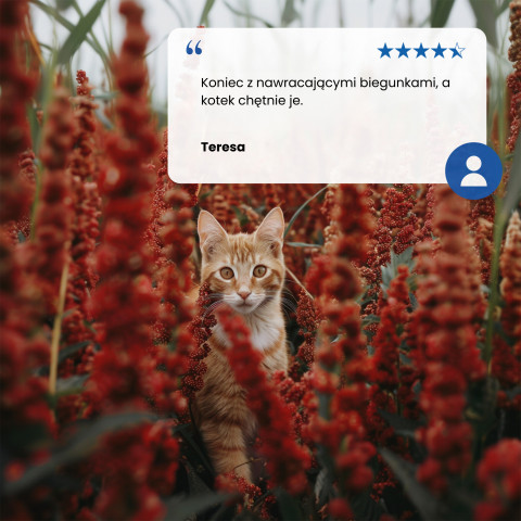 FARMINA N&D Quinoa Digestion Lamb and Fennel - Trockenfutter für Katzen - 1,5 kg - Fotogalerie 3