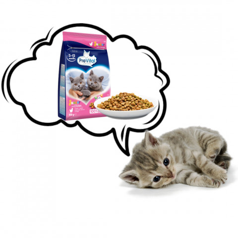 PREVITAL Junior Chicken - trockenfutter für Katzen - 950g - Fotogalerie 7