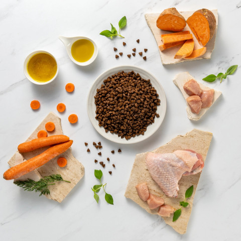 RAW PALEO Ultra Mini Adult Truthahn – Trockenfutter für Hunde – 2 kg - Fotogalerie 3