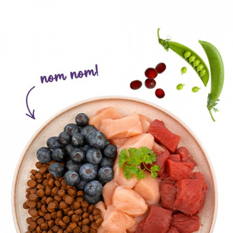 BOSCH Sanabelle Adult Ostrich & Blueberries - trockenfutter für Katzen - 2kg - Fotogalerie 2