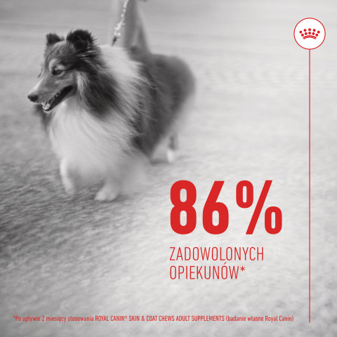 ROYAL CANIN Supplements Dog Skin & Coat Adult - hundevitamine - 240g - Fotogalerie 11